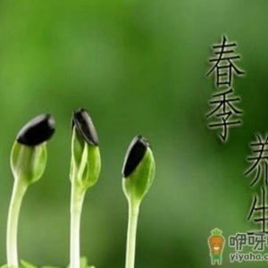 一年之计在于春，不得不知的春季养生常识