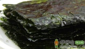 便秘 紫菜是最好的润肠食物