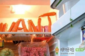 冰箱使用小技巧 4种食物不宜放冰箱
