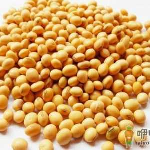 豆子导致常放屁