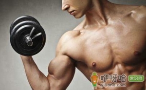 男性健身锻炼的几个部位