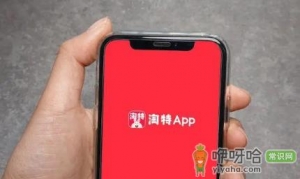淘特不能好友代付吗