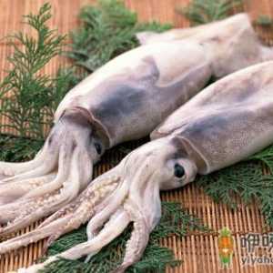 为什么鱿鱼煮出来是透明的 鱿鱼透明是不是没熟