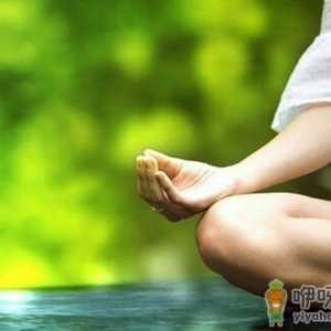人体能量消耗的秘密
