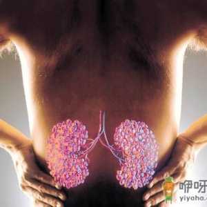 4个廉价妙招养出好肾脏