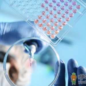 癌症泛滥 癌症候选人的防癌要点