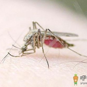 蚊虫叮咬后红肿瘙痒 缓解瘙痒症状小妙招