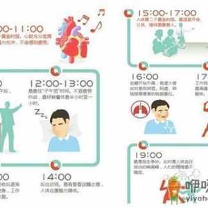 如何根据生物钟合理的安排时间