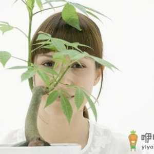 嘴破太久小心是癌症征兆！