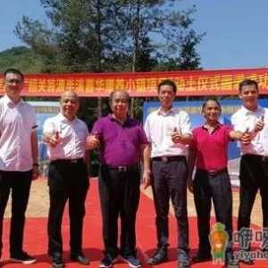 2022年11月哪几天动土最好