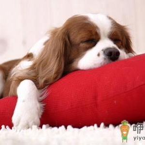 落枕后如何治疗？导致落枕的原因