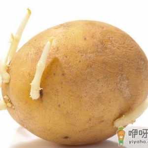 这些常见果蔬中毒的急救方法