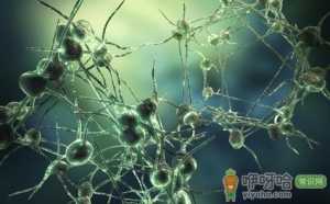 癫痫病发作怎么进行急救