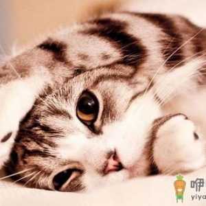 红眼病患者需要注意什么事项