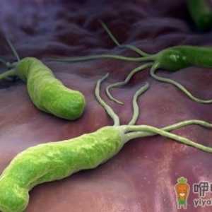 幽门螺杆菌的传染途径 幽门螺旋杆菌的治疗方法