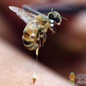 被蜂蜇了怎么办？被蜂蜇的急救方法