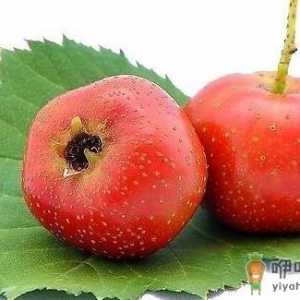 女人吃酸好处多 常见的酸味食物推荐