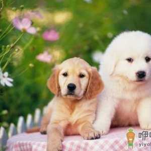 吃什么食物能舒缓压力