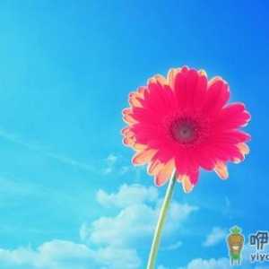 冬季保持好心情的办法