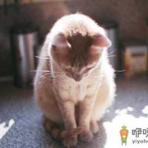 如何摆脱自己的嫉妒心