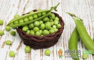 女性经期需要补充什么营养