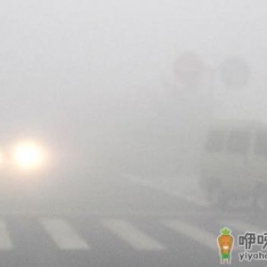 雾霾天气行车安全常识 重污染天气安全出行注意事项