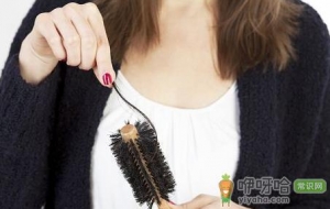 女人经常掉头发试试这几个方法