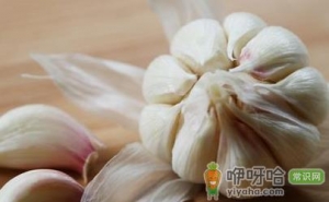 5类食物让女性告别妇科疾病