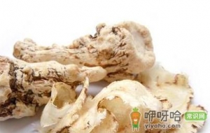 当归补血养血 女性怎么吃最养生