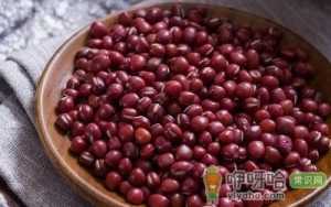 女性吃红豆养心补血健脾胃