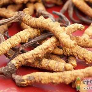 让女人身体焕发新生的七味中药