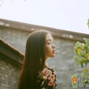 盘点能够治疗妇科疾病的中草药