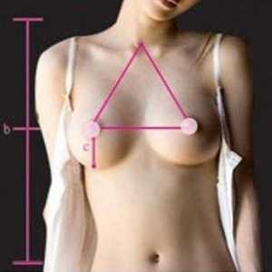 你的胸围是否标准？女人完美乳房标准详细图解