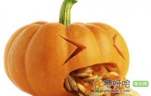 秋季女性们都该吃的减肥食物