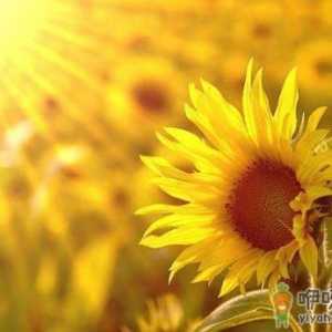 乐观心态是健康内因 生活中保持乐观心态的方法