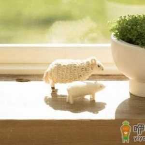盆腔炎有什么症状？