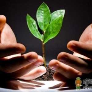 怎么才能抚平心理的创伤？