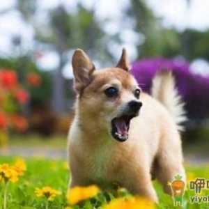 什么性格的人容易患精神分裂症