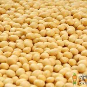 做好乳房的日常保健 合理搭配饮食预防乳腺疾病