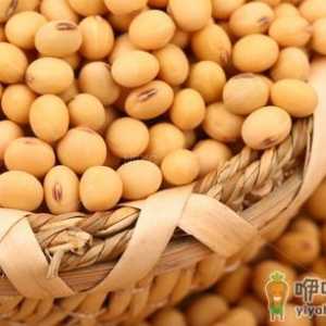 女性内分泌失调的七招调理方法