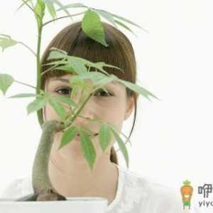 女人要如何养生保健？