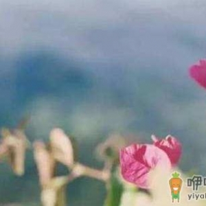 一定要坚持这些卫生习惯