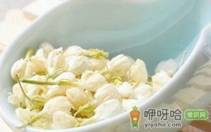 春季女性养生喝5款花茶