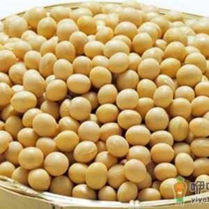 呵护女性乳房健康的9种食物