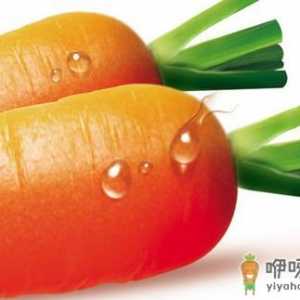 女人必知 皮肤最喜爱的9种食物
