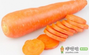 保养卵巢少吃煎蛋 多吃胡萝卜高钙食物
