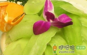 女人在经期可以吃苦瓜吗