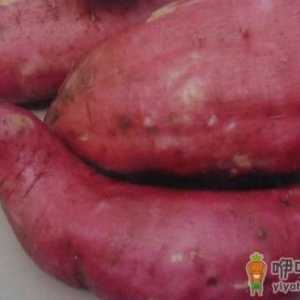 女性多吃红薯 可延年益寿