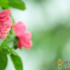 盆腔炎能治好吗？盆腔炎怎么治疗