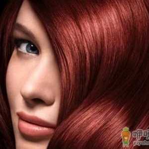 染发过度或致癌 颜色越深越危险